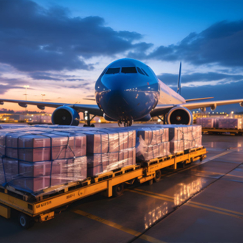 International Air Freight Forwarder in India